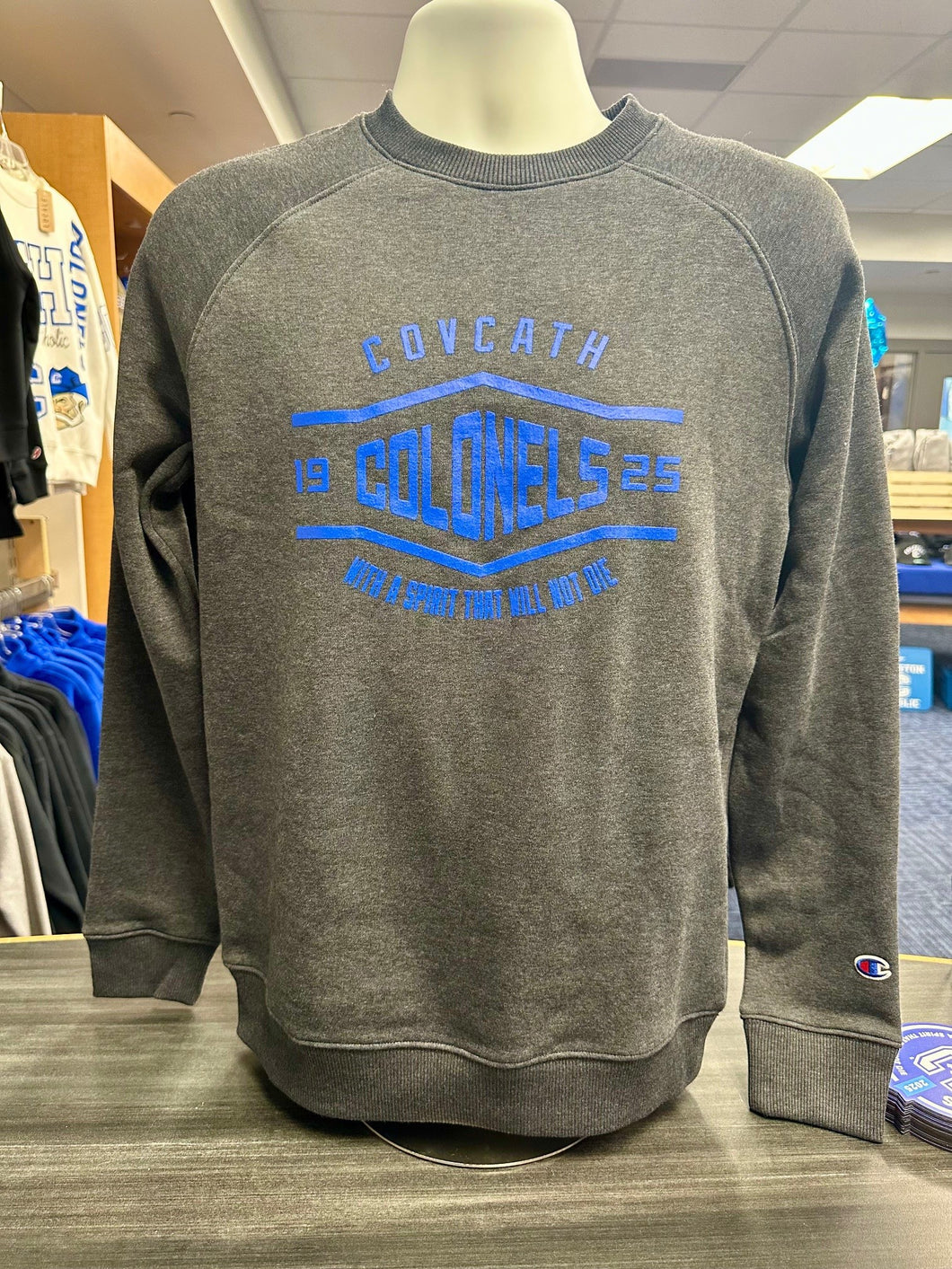 Champion Grey Fleece Crewneck