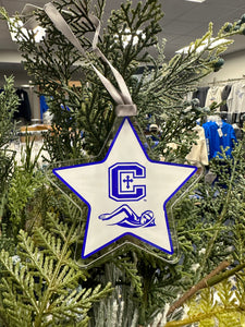 Swimming Star Ornament