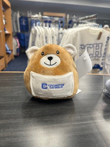 Squishy Logo Bear